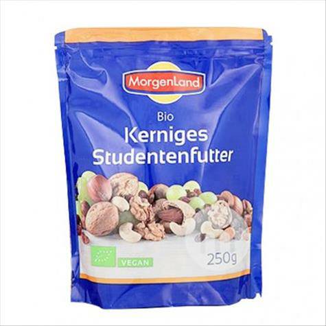 MorgenLandドイツMorgenLand有機混合ナッツドライフルーツ250 g